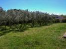 Vente Maison Carcassonne 2 pieces 1650 m2