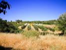 Vente Terrain Brue-auriac 931 m2
