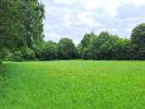 Vente Terrain Ploneour-lanvern  493 m2