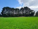 Vente Terrain Lesconil  812 m2