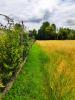 Vente Terrain Maizieres-la-grande-paroisse