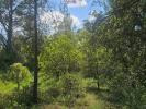 Vente Terrain Laval-pradel 2950 m2