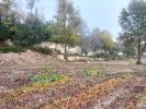 Vente Terrain Lectoure 20000 m2