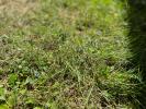 Vente Terrain Nogent-sur-vernisson 451 m2