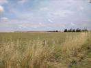 Vente Terrain Saint-laurent-de-la-pree  485 m2