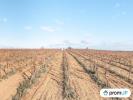 Vente Terrain Belarga 32767 m2