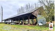 Vente Maison Vesly  600 m2