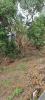 Vente Terrain Trois-bassins 291 m2