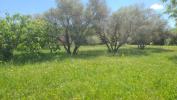 Vente Terrain Paulhan 817 m2