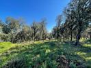 Vente Terrain Thoronet  2214 m2