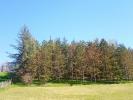 Vente Terrain Lombers  4000 m2