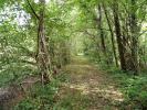Vente Terrain Coullons  32767 m2