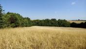 Vente Maison Nailloux  4 pieces 90 m2