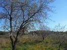 Vente Terrain Saint-pons-de-mauchiens  2300 m2