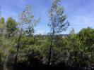 Vente Terrain Saint-pons-de-mauchiens  2180 m2