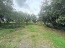 Vente Terrain Garde-adhemar  8633 m2