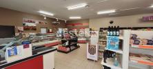 Vente Commerce Francueil  5 pieces 320 m2