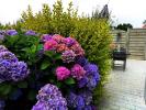 Vente Maison Lannion 4 pieces 87 m2