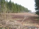 Vente Terrain Saint-die  10078 m2