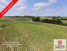 Vente Terrain Breille-les-pins NOYANT-VILLAGES 32767 m2