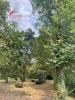 Vente Terrain Ambares-et-lagrave 1500 m2