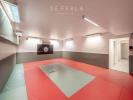 Vente Local commercial Maisons-alfort 11 pieces 260 m2