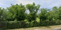 Vente Terrain Canejan  629 m2