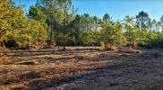 Vente Terrain Brach 503 m2