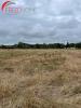 Vente Terrain Saint-christoly-de-blaye 1200 m2