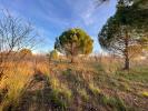Vente Terrain Paulhan