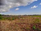 Vente Terrain Palau-del-vidre SAINT-ANDRA