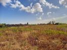 Vente Terrain Palau-del-vidre SAINT-ANDRA