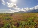 Vente Terrain Palau-del-vidre SAINT-ANDRA