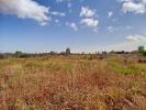 Vente Terrain Palau-del-vidre SAINT-ANDRA