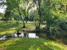 Vente Maison Lussac-les-chateaux 10 pieces 298 m2