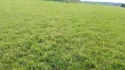 Vente Terrain Chouvigny ABREUIL