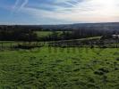 Vente Terrain Cambremer