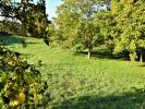 Vente Terrain Saint-medard-en-forez 