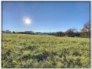 Vente Terrain Momas 
