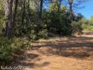 Vente Terrain Salernes