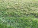 Vente Terrain Saint-sauveur-de-puynormand