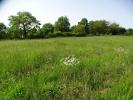 Vente Terrain Isle-jourdain 