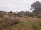Vente Terrain Pignan  338 m2