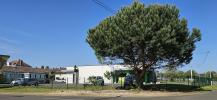 Vente Local commercial Gabarret 262 m2