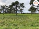 Vente Terrain Grand-champ 