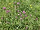 Vente Terrain Belin-beliet