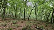 Vente Terrain Esparros