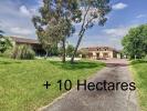 Vente Maison Mirande  6 pieces 182 m2