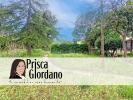 Vente Maison Saint-georges-d'orques  7 pieces 272 m2