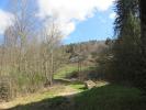 Vente Maison Thillot 15 pieces 306 m2